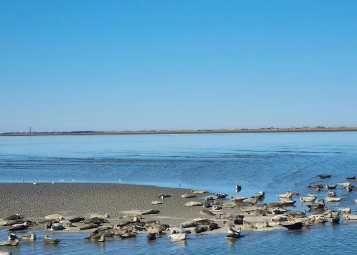 Am Sieltor Neßmersiel * Dornum